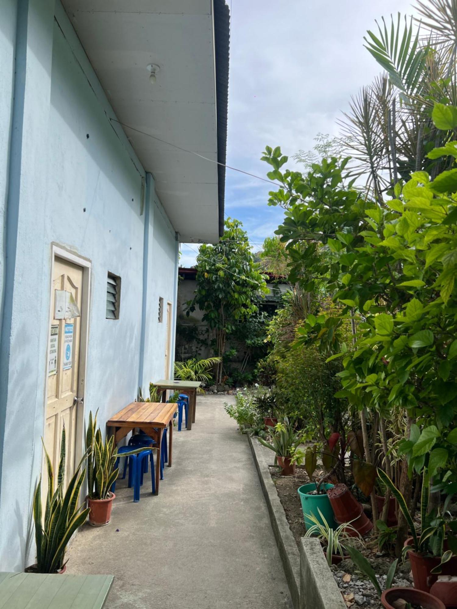 Sharky Hostel Oslob Buitenkant foto